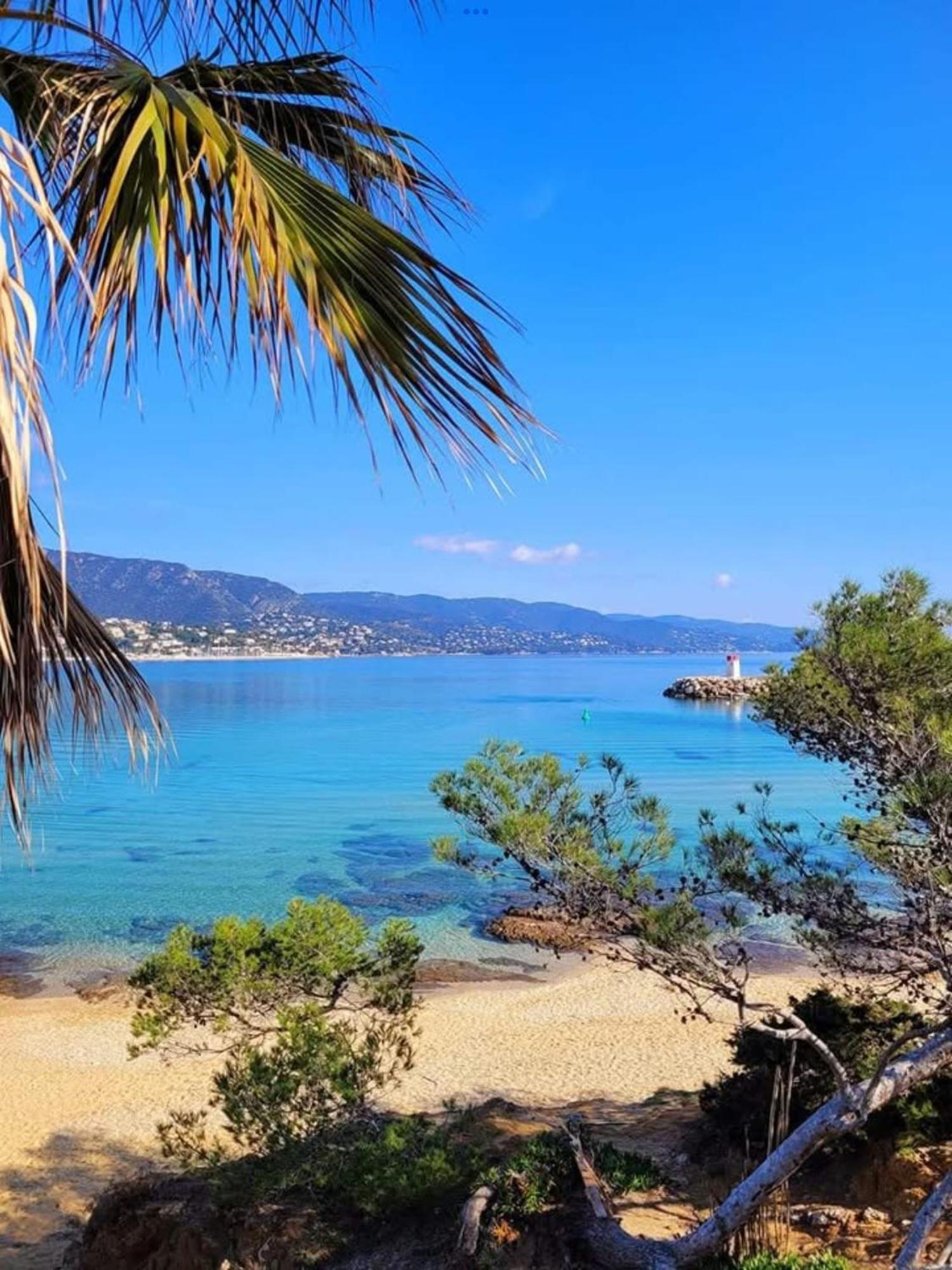 Appartement Pieds Dans L'Eau Vue Mer Bormes Les Mimosas Exterior foto